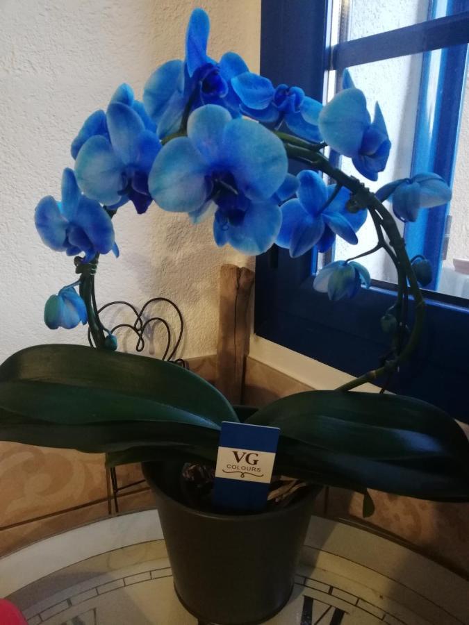 Parfumu Di Celu Hotell Santa-Lucia-di-Mercurio Exteriör bild
