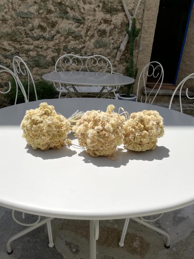 Parfumu Di Celu Hotell Santa-Lucia-di-Mercurio Exteriör bild